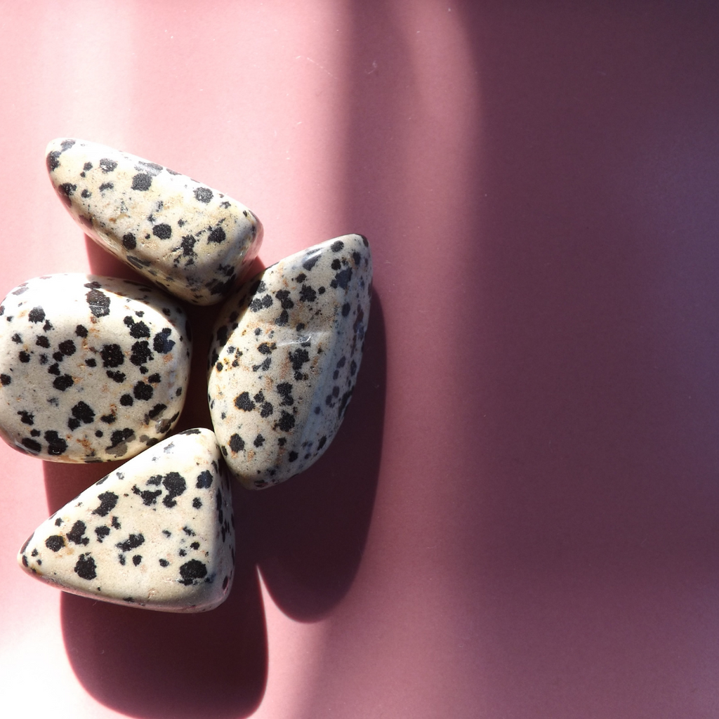 15 Dalmatian Jasper tumble small stones - Edy's Treasures