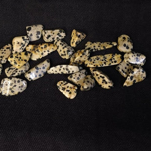 15 Dalmatian Jasper tumble small stones - Edy's Treasures