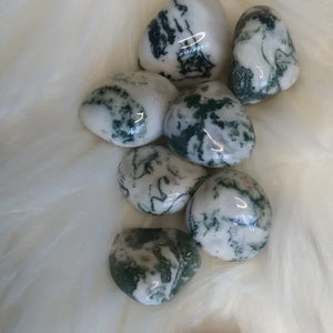 Tree agate stone - Edy's Treasures
